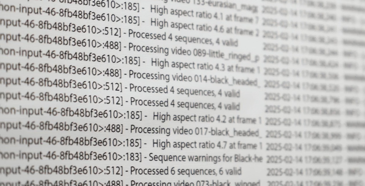 Fugitive Traces: Algorithmic Tracking and the Poetics of Bird Movements